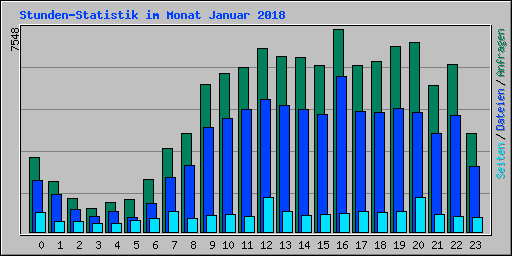 Stunden-Statistik im Monat Januar 2008