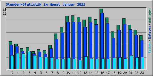 Stunden-Statistik im Monat Januar 2021
