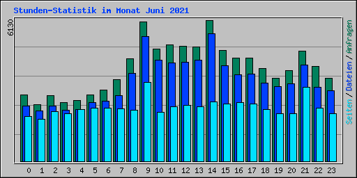 Stunden-Statistik im Monat Juni 2021