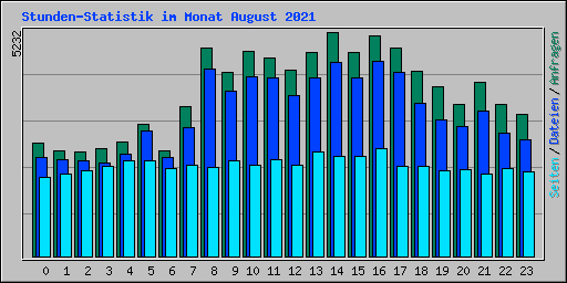 Stunden-Statistik im Monat August 2021