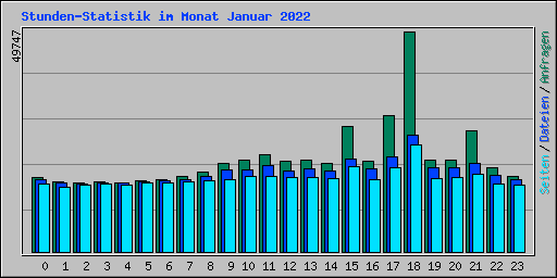 Stunden-Statistik im Monat Januar 2022