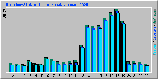 Stunden-Statistik im Monat Januar 2026